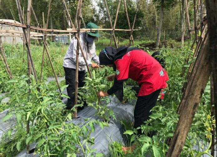 PhotoGrid_1605168905637