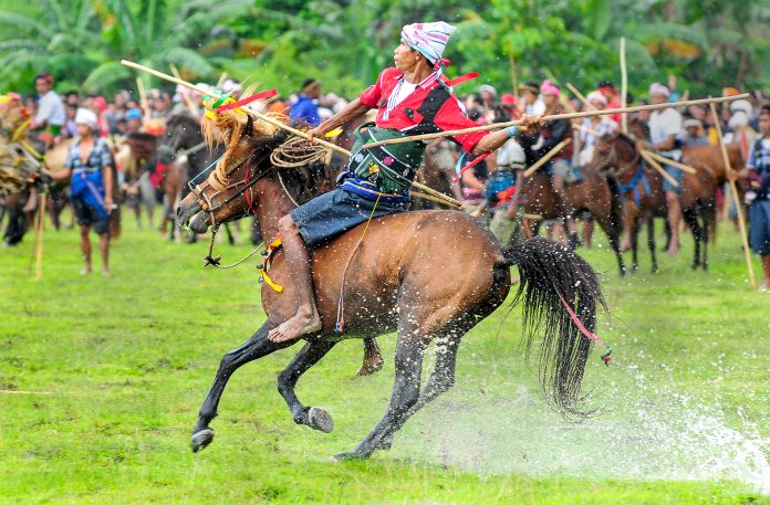 SINAU - Ajang Pasola - Copy