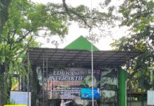 Edukasi Interaktif Puskesmas dan BPBD, Ubah Mindset Siswa Jadi Lebih Sehat